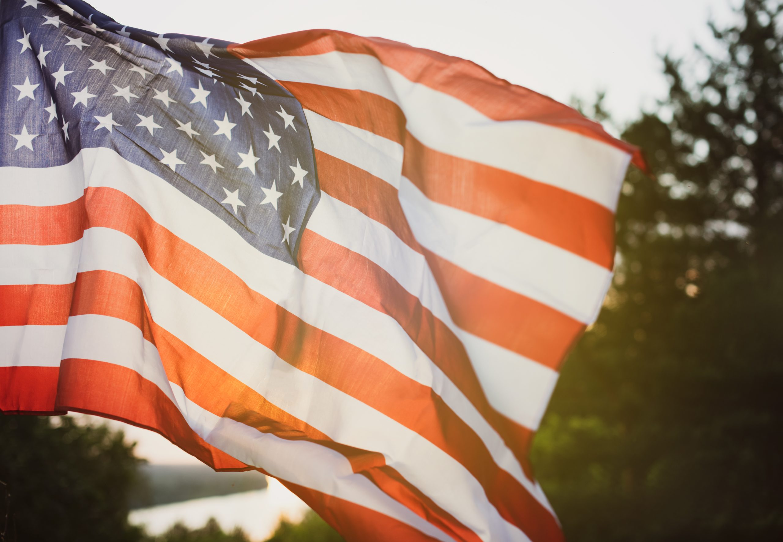 vecteezy_veterans-day-flag-of-the-united-states-of-america-american_11362832_414